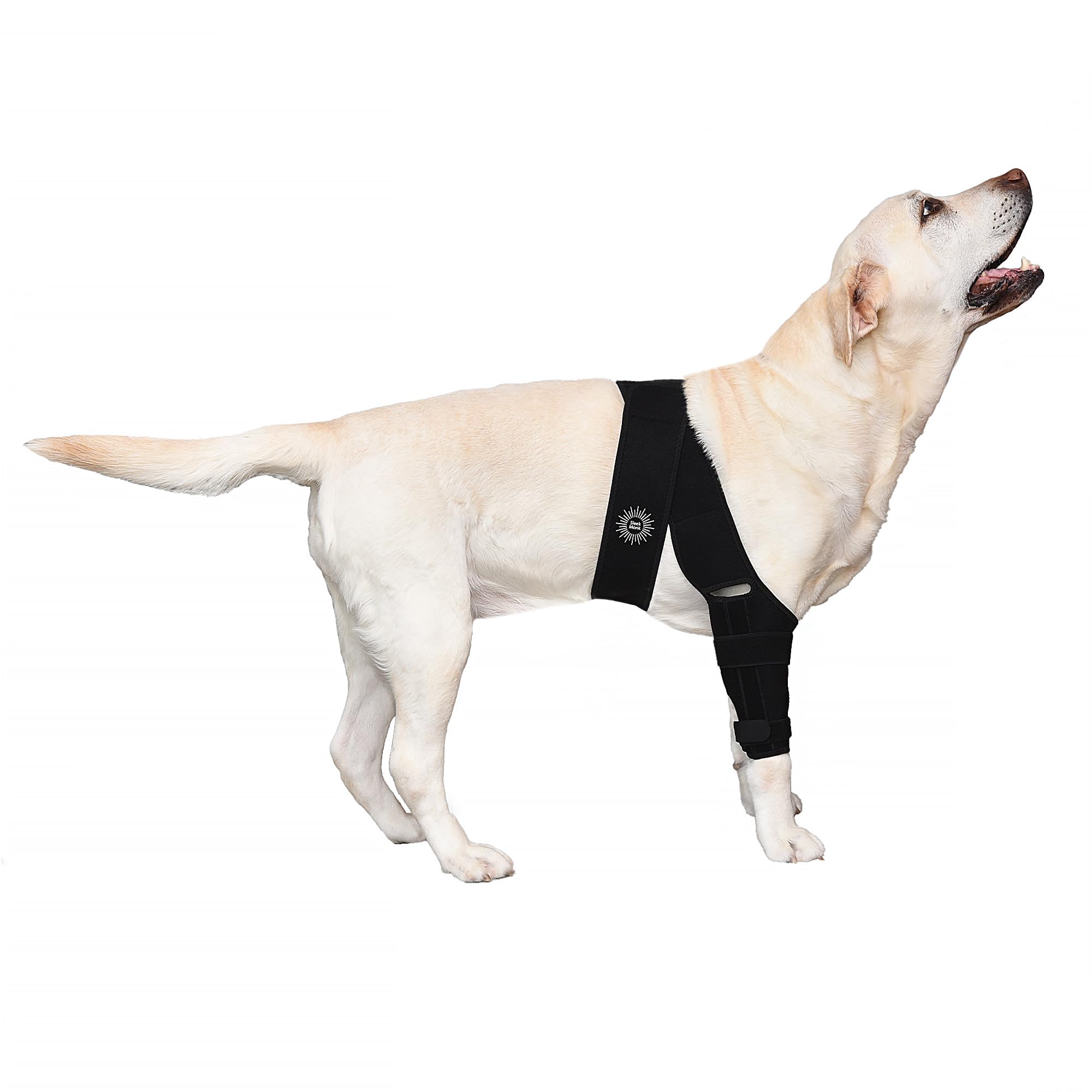 Generic Large Breathable Dog Knee Brace for Torn ACL Legs - Easy to Use, Neoprene Dog Leg Braces for Back Leg - ACL Brace for Dogs, Helps Reduce Pain and Heal Injuries