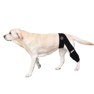 generic large breathable dog knee brace for torn acl legs - easy to use, neoprene dog leg braces for back leg - acl brace for dogs, helps reduce pain and heal injuries