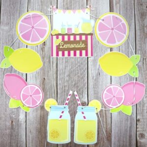 Lemonade Stand Decorations - Lemonade Banner, Lemonade Stand Sign, Lemon Straw for Kids Summer Bridal Shower Birthday Party Lemonade Stand Supplies