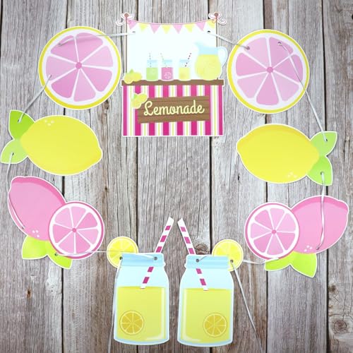 Lemonade Stand Decorations - Lemonade Banner, Lemonade Stand Sign, Lemon Straw for Kids Summer Bridal Shower Birthday Party Lemonade Stand Supplies