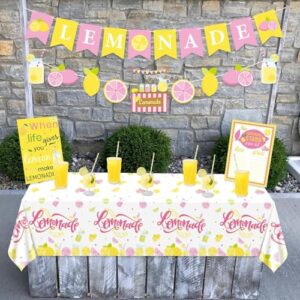 Lemonade Stand Decorations - Lemonade Banner, Lemonade Stand Sign, Lemon Straw for Kids Summer Bridal Shower Birthday Party Lemonade Stand Supplies