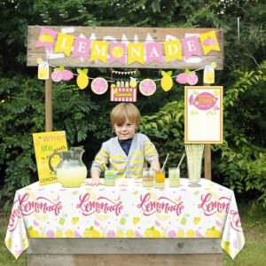 Lemonade Stand Decorations - Lemonade Banner, Lemonade Stand Sign, Lemon Straw for Kids Summer Bridal Shower Birthday Party Lemonade Stand Supplies