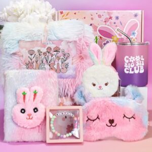 pengtai big sister gifts for girls,promoted to big sister,big sister gift,new big sister tumbler throw fur blanket gifts set