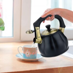 Stainless Steel Tea Kettle for Stove Top Teakettles Stovetop Whistling with Heat Proof Ergonomic Handle 2.5 Quart