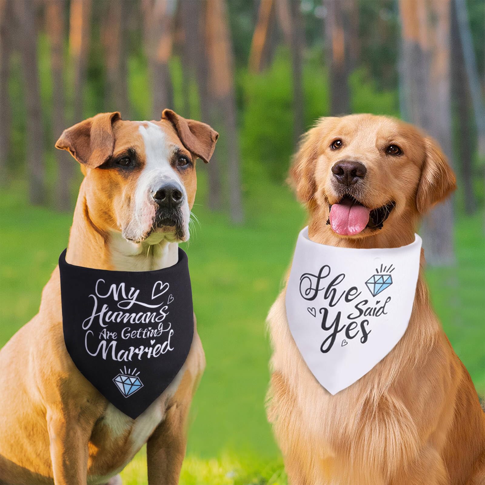 Engagement Gifts, My Humans are Getting Married She Said Yes Dog Bandana Samll, Engagement Party Decorations, Wedding Photo Prop, Pet Scarf Engagement Announcement, Bride Accessories(White Black)