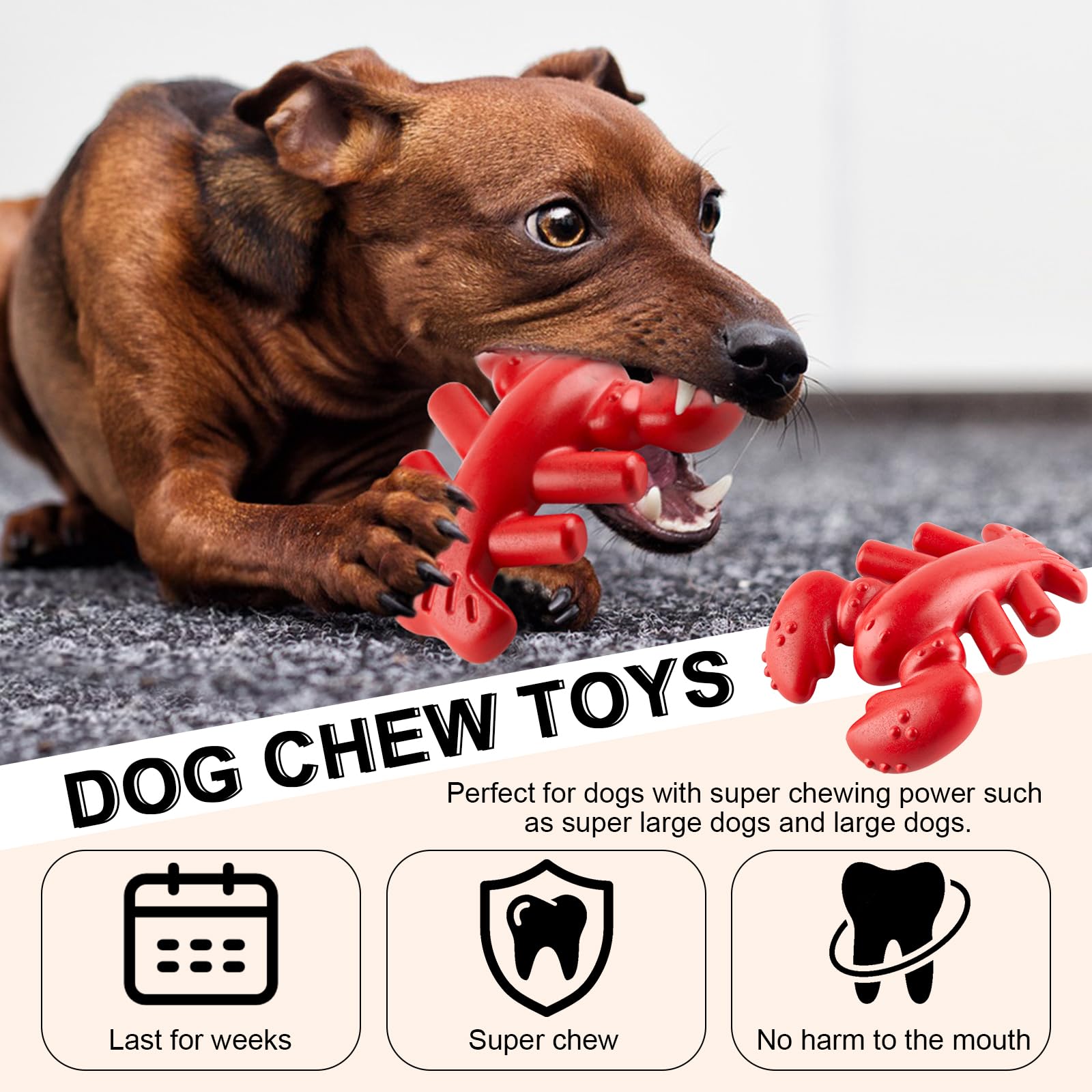 WBTK Dog Chew Toys, Interactive Dog Toys for Aggressive Chewers, Indestructible Dog Toys for Medium/Large Dogs, Great Gift for Pet