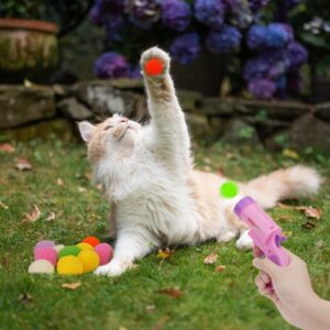 C-PASSION Cat Ball Toy Launcher Gun,Cat Balls Fetch Toy,50Pcs Plush Fuzzy Balls Launcher Cat Toy for Cats,Cute Kitten Kitty Toys,Funny Interactive Cat Toys for Bored Indoor Adult Cats