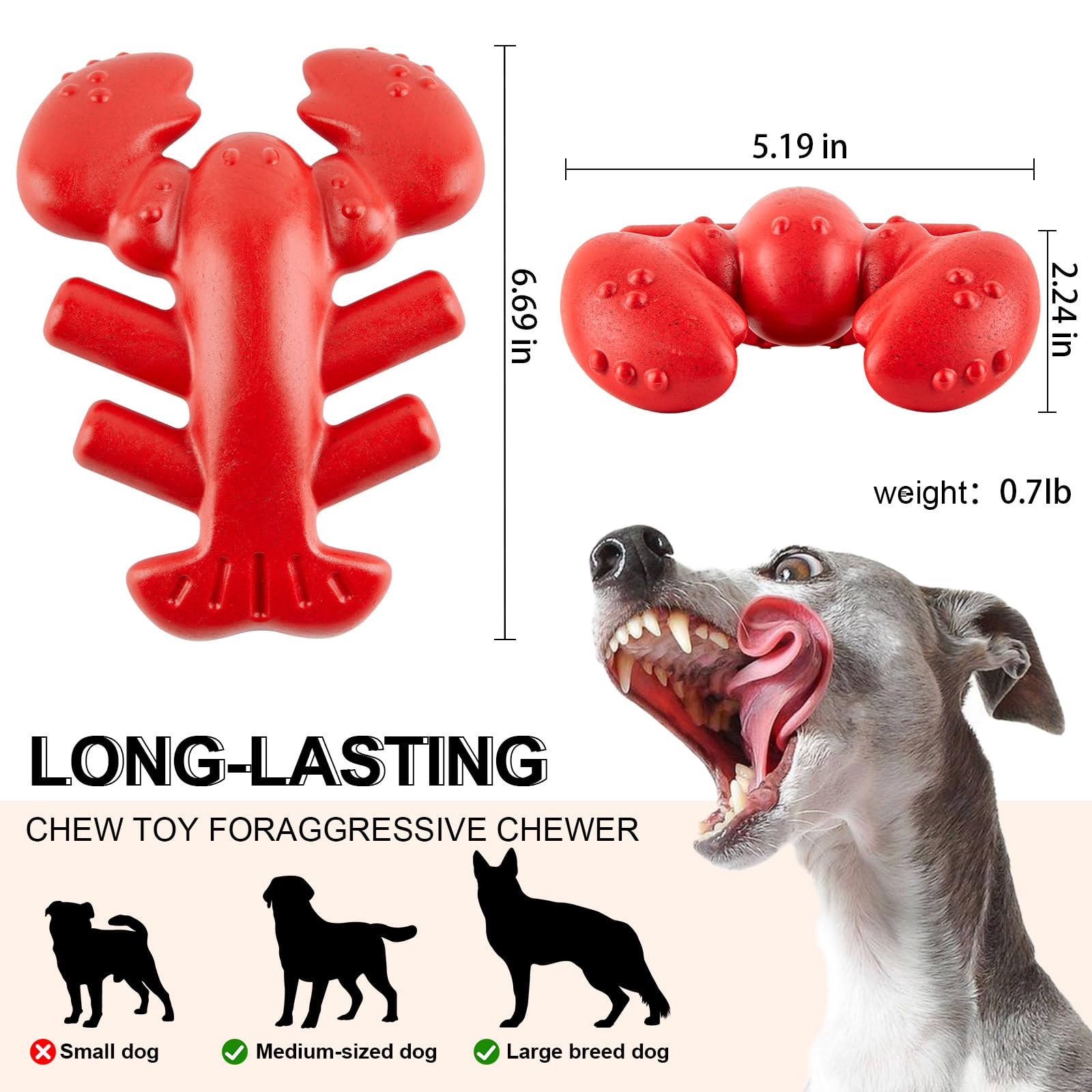 WBTK Dog Chew Toys, Interactive Dog Toys for Aggressive Chewers, Indestructible Dog Toys for Medium/Large Dogs, Great Gift for Pet