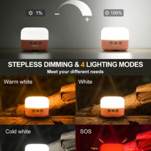 ZMNT LED Camping Lantern Rechargeable 1000LM, Up to 320H Running Time Camping Tent Light, 6700mAh Emergency Light for Hurricane, Power Outages, Home, Hiking, Water-Resistant Pink