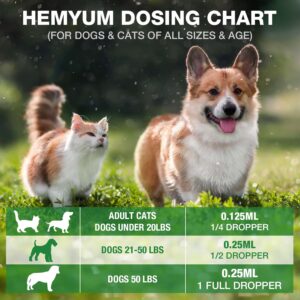 Pet Hemp Oil for Dogs and Cats,Organic Hemp Extract Drops, Sleep Aid Anxiety,Stress, Hip & Joint Pain Relief, Dog Calming Treats Rich in Omega 3-6-9, Natural Pet Hemp Oil（Natural）