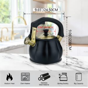 Stainless Steel Tea Kettle for Stove Top Teakettles Stovetop Whistling with Heat Proof Ergonomic Handle 2.5 Quart