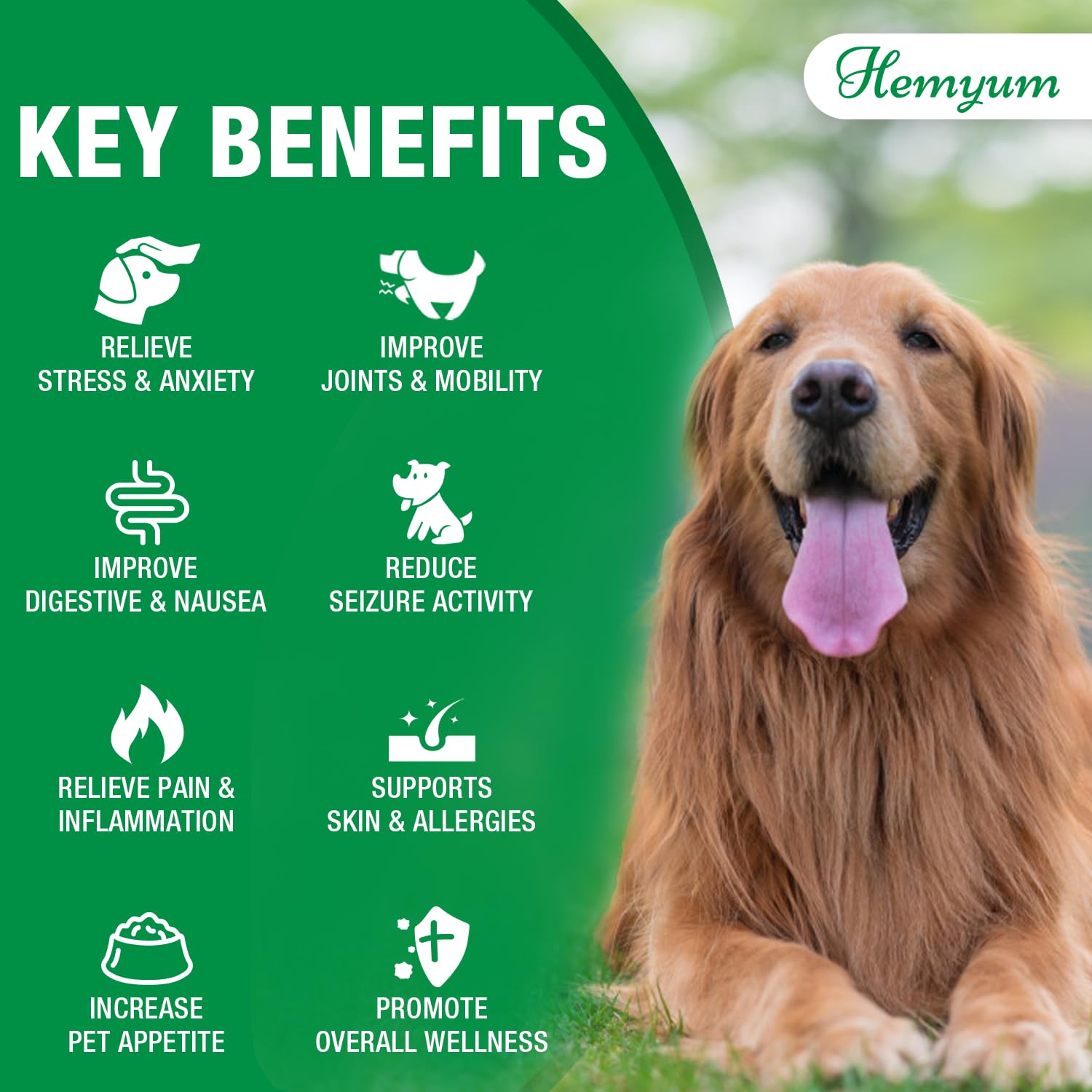 Pet Hemp Oil for Dogs and Cats,Organic Hemp Extract Drops, Sleep Aid Anxiety,Stress, Hip & Joint Pain Relief, Dog Calming Treats Rich in Omega 3-6-9, Natural Pet Hemp Oil（Natural）