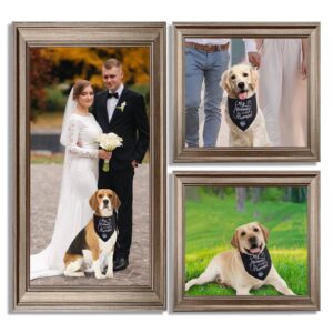 Engagement Gifts, My Humans are Getting Married She Said Yes Dog Bandana Samll, Engagement Party Decorations, Wedding Photo Prop, Pet Scarf Engagement Announcement, Bride Accessories(White Black)