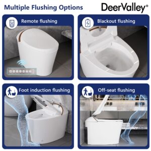 DeerValley Smart Toilet, One Piece Smart Toilet with Bidet Built in, Elongated Toilet with Auto Open & Close, Auto Flush, Warm Water Sprayer & Dryer, Heated Seat, Foot Kick Operation