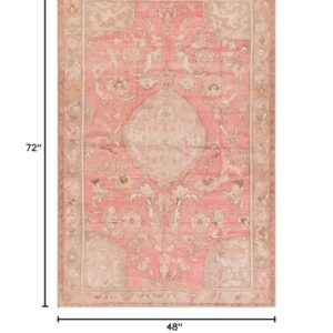 Jaipur Living, Machine Washable 4x6 Area Rug, Boho Pink/Beige Living Room Rug