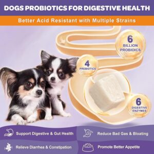 Probiotics for Dogs, 6 Billion CFUs, Freeze Dried Dog Probiotics with Prebiotics and Digestive Enzymes - Salmon-Flavored - 119 Chews