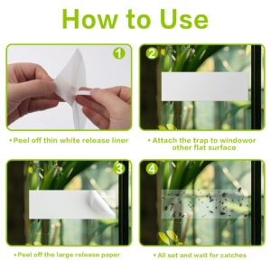 Landisun Fly Trap Indoor Fruit Fly Traps for Indoor Window-Fly Traps Fly Paper Sticky Strips 30 Pack