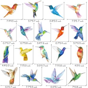 Hummingbird Hanging Swirls 20Pcs Hummingbird Birthday Decorations Hummingbird Ceiling Decor Tropical Bird Party Hanging Streamer for Summer Flying Birds Baby Shower Supplies