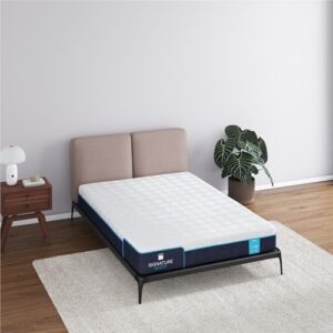 Signature Sleep Bliss 8 Inch Charcoal Cool Gel Memory Foam Mattress-in-a-Box, Medium-Firm, Certipur-US and Oeko-TEX, Queen