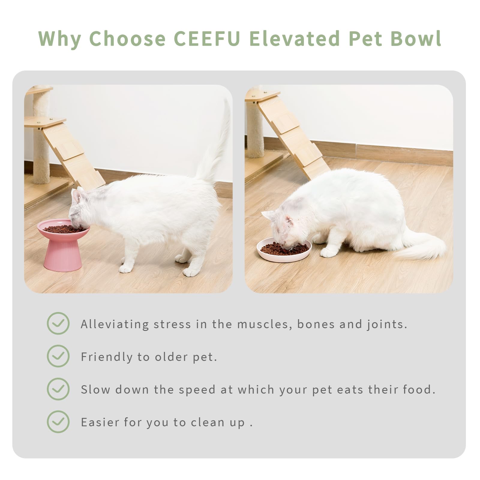 CEEFU 2 Extra Wide Elevated Cat Food Bowl, Ceramic Cat Bowls for Food and Water, Wide Shallow Cat Food Dish, Whisker Fatigue, Lead & Cadmium Free, Great Height for Cat, Pink