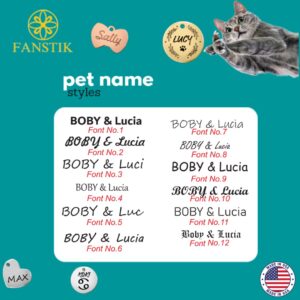 Personalized QR Code Pet Id Tag (Made in USA) - Personalize on Both Tag & Web Free Online APP Scan QR Receive Instant Location Alert Email - Customized Dog Cat Tags, Stainless Steel FANSTIK (QR-Icon)