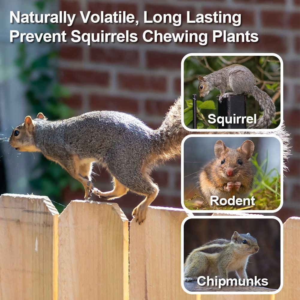 RJNKUU Squirrel Repellent Outdoor,Garden Squirrel Deterrent, Chipmunk Repellent Outdoor,Keep Squirrels Out of Flower Pots, Squirrel Repellent for Attic,Powerful Repel Squirrel-10Packs, Orange