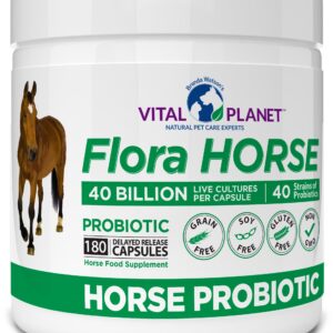 Vital Planet - Flora Horse Probiotic, High Potency Equine Probiotics with Prebiotics, 40 Billion Live CFU from Multiple Strains, Digestive and Immune Support, 180 Delayed Release Capsules (180 Days)