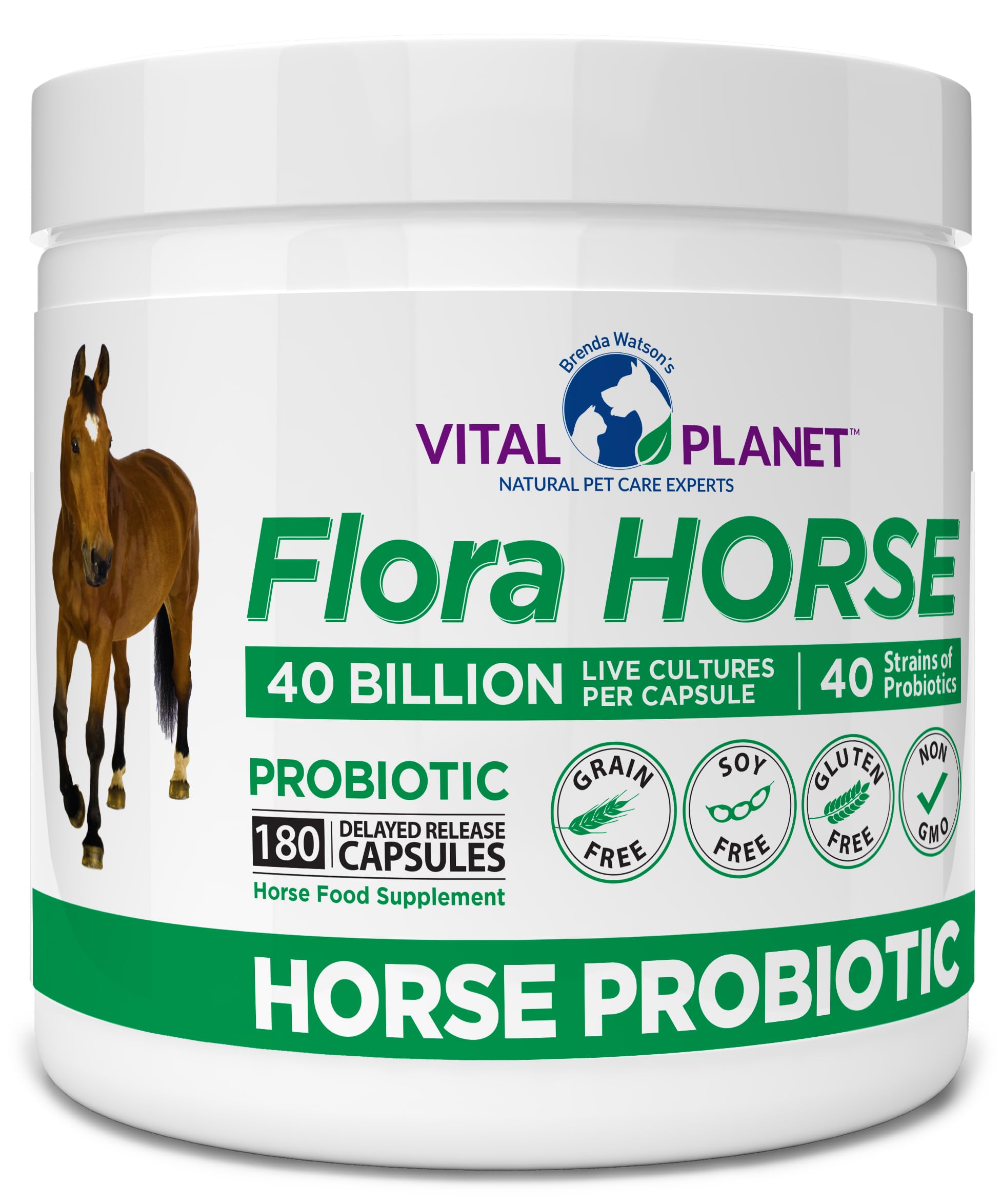 Vital Planet - Flora Horse Probiotic, High Potency Equine Probiotics with Prebiotics, 40 Billion Live CFU from Multiple Strains, Digestive and Immune Support, 180 Delayed Release Capsules (180 Days)