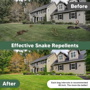 Two Bros. Repellent Snake Repellent for Yard Powerful, Snake Deterrent Outdoor,Snake Away Repellent for Outdoors,Snake Repellent Pet Safe, Backyard Snake Repellent Outdoor,Snake Repellent Indoor -10P