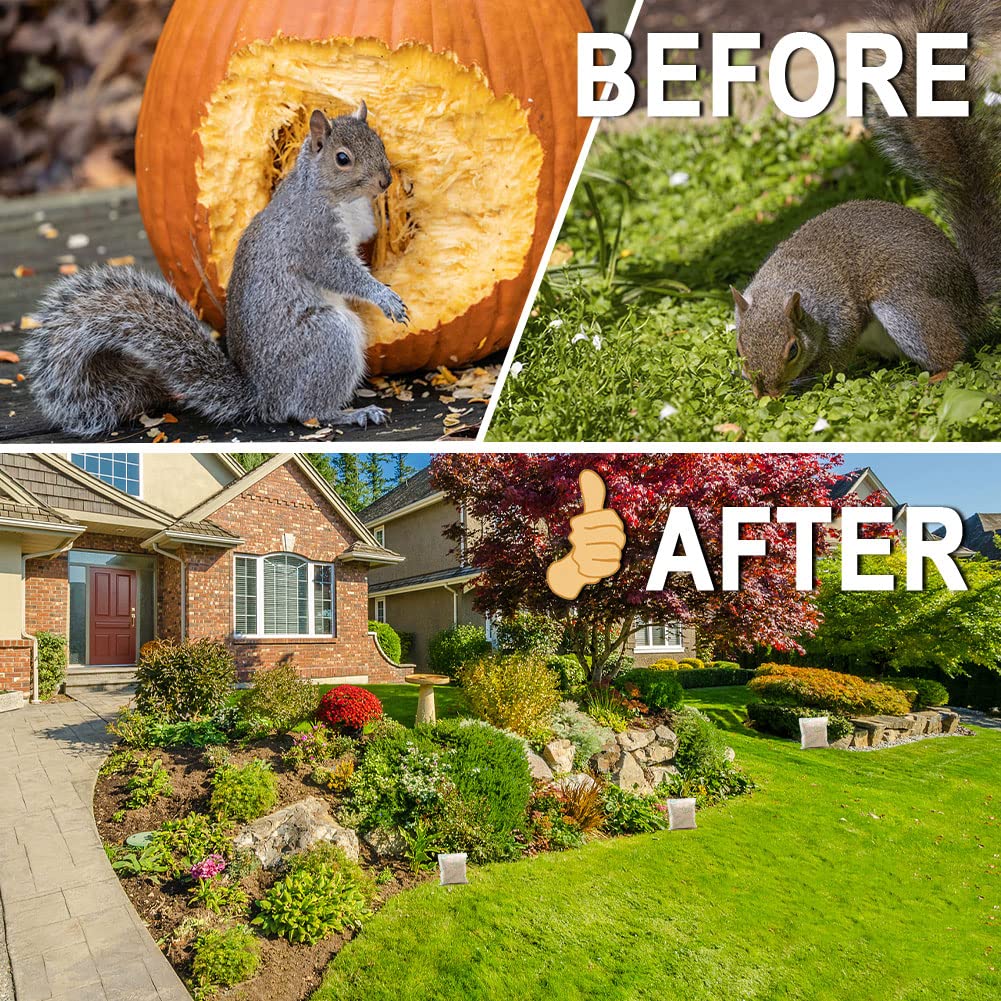 RJNKUU Squirrel Repellent Outdoor,Garden Squirrel Deterrent, Chipmunk Repellent Outdoor,Keep Squirrels Out of Flower Pots, Squirrel Repellent for Attic,Powerful Repel Squirrel-10Packs, Orange