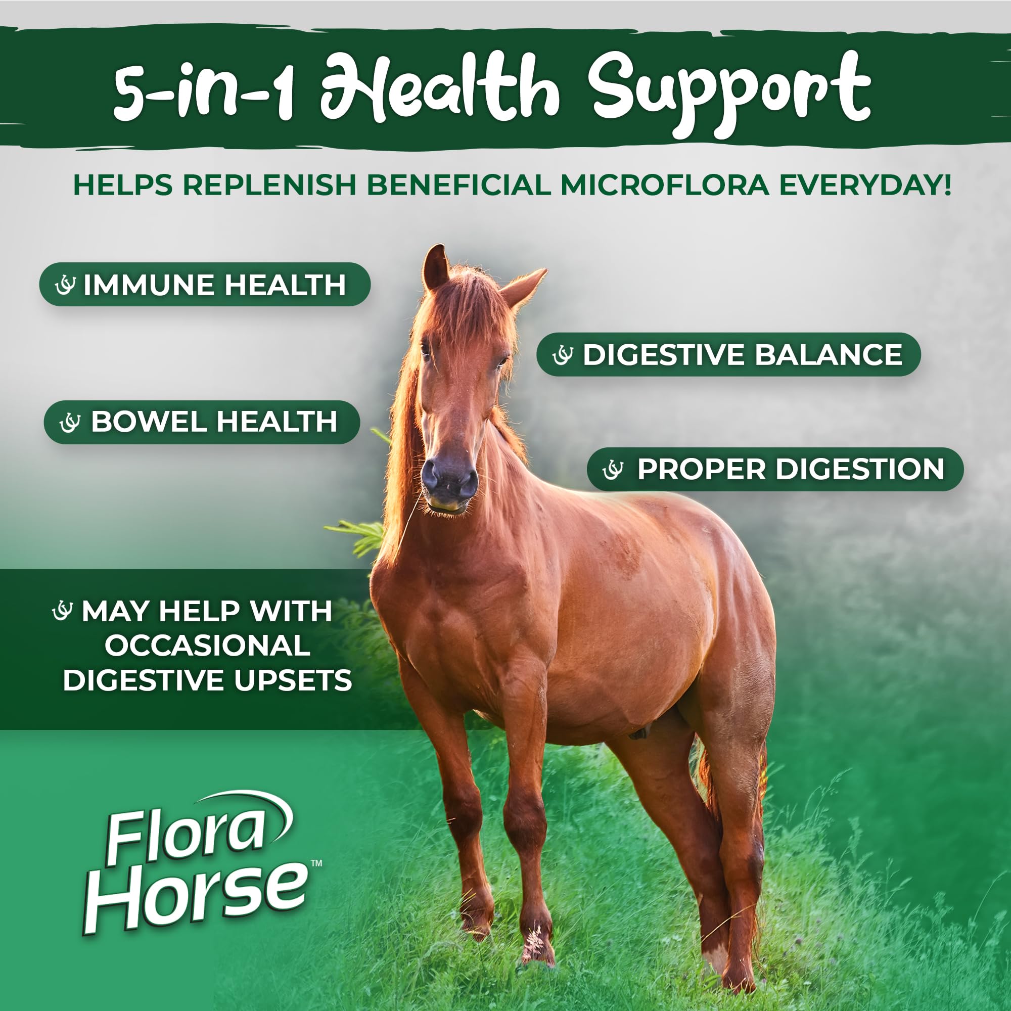 Vital Planet - Flora Horse Probiotic, High Potency Equine Probiotics with Prebiotics, 40 Billion Live CFU from Multiple Strains, Digestive and Immune Support, 180 Delayed Release Capsules (180 Days)