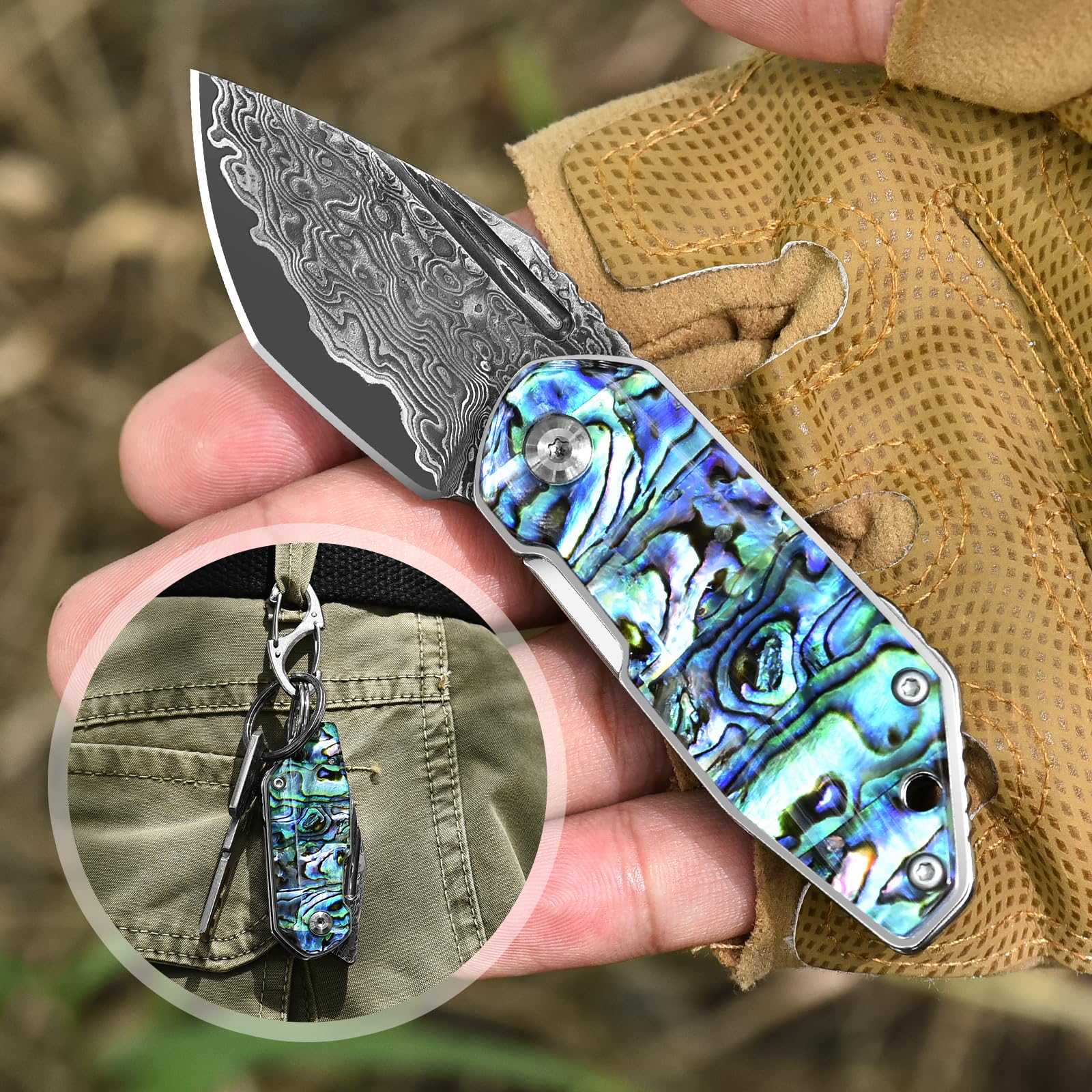 DRACHENADER Small Damascus Pocket Knife for Women and Men Abalone Knife Japanese Keychain Mini Pocket Knife Folding VG10 67 Layers Damascus Steel, birthday Gift Box Included