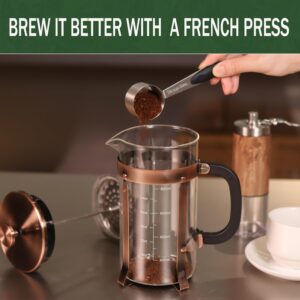 French Press Coffee Maker, 34 Ounce 1 Liter, Stainless Steel, Cold Brew Heat Resistant Borosilicate Glass Espresso Coffee & Tea Maker with 4 Filter