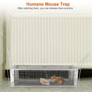 Humane Rat Trap, Mouse Traps Work for Indoor and Outdoor, 16x6x4 Inch Small Rodent Chipmunk Squirrel Trap and Other Live Animal Cage Catch and Release for Kitchen Yard Garage