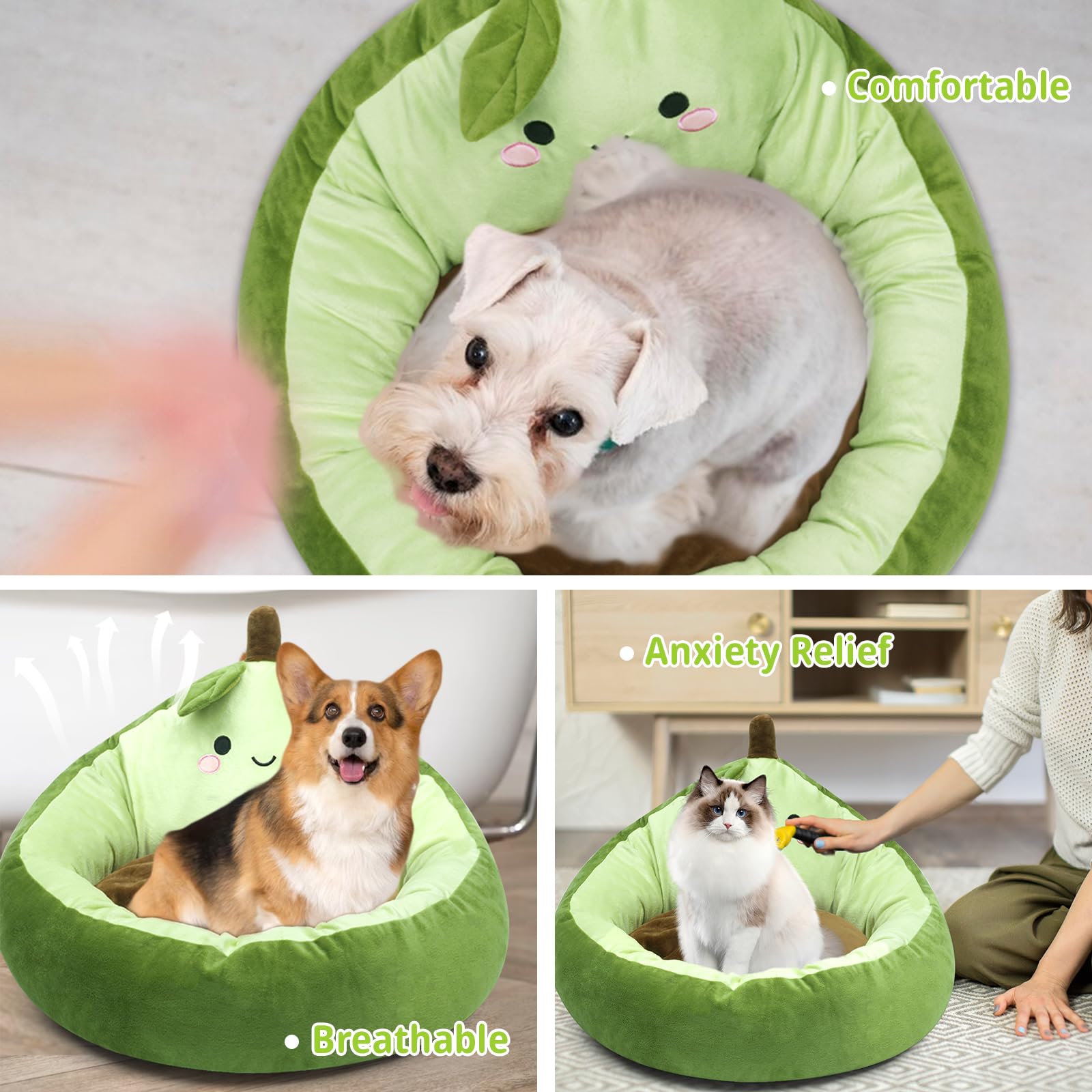 QAUJERY Dog Bed Pet Bed, Cute Calming Dog Bed & Cat Bed, Indoor Washable Dog Bed, Plush Anti-Anxiety Pet Bed for Small Medium Dog & Cat, Non-Slip Bottom, Green, 23"x 23"x 14"