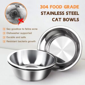 Elevated Cat Food Bowl, 3 Stainless Steel Raised Cat Bowls with Stand, 15°Tilted Cat Bowl for Indoor Cats, Cat Food and Water Bowl Set, Anti Vomitting, Whisker Fatigue and Dishwasher Safe - Natural