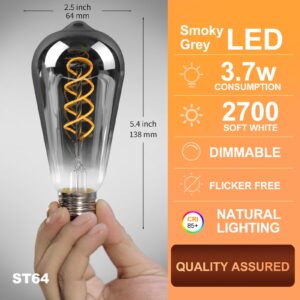 Decoaui E26 ST64 Vintage Edison Light Bulbs, Smoky Grey Coated Glass, Dimmable, 4W(20W Equivalent) 200 Lumin, 2700K Soft White, Spiral Filaments Design, Antique Style, 25000 Hrs, 3-Pack