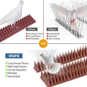 Bird Spikes, 30 Pack Bird Squirrel Raccoon Pigeon Cat Animal Deterrent Spikes for Outside Anti Bird Defender Spikes Outdoor to Keep Birds Away