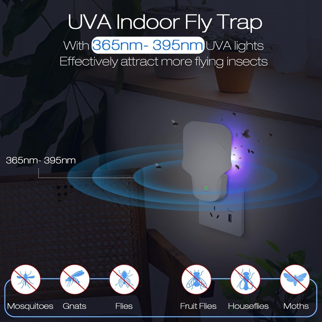 Flying Insect Trap - 2 Pack Fruit Fly Traps for Indoors, Plug-in Fly Trap Indoor with Auto Timing Function for Gnat, Mosquito, Flies, Gnat Trap for House Indoor(2 Device + 10 Glue Cards)