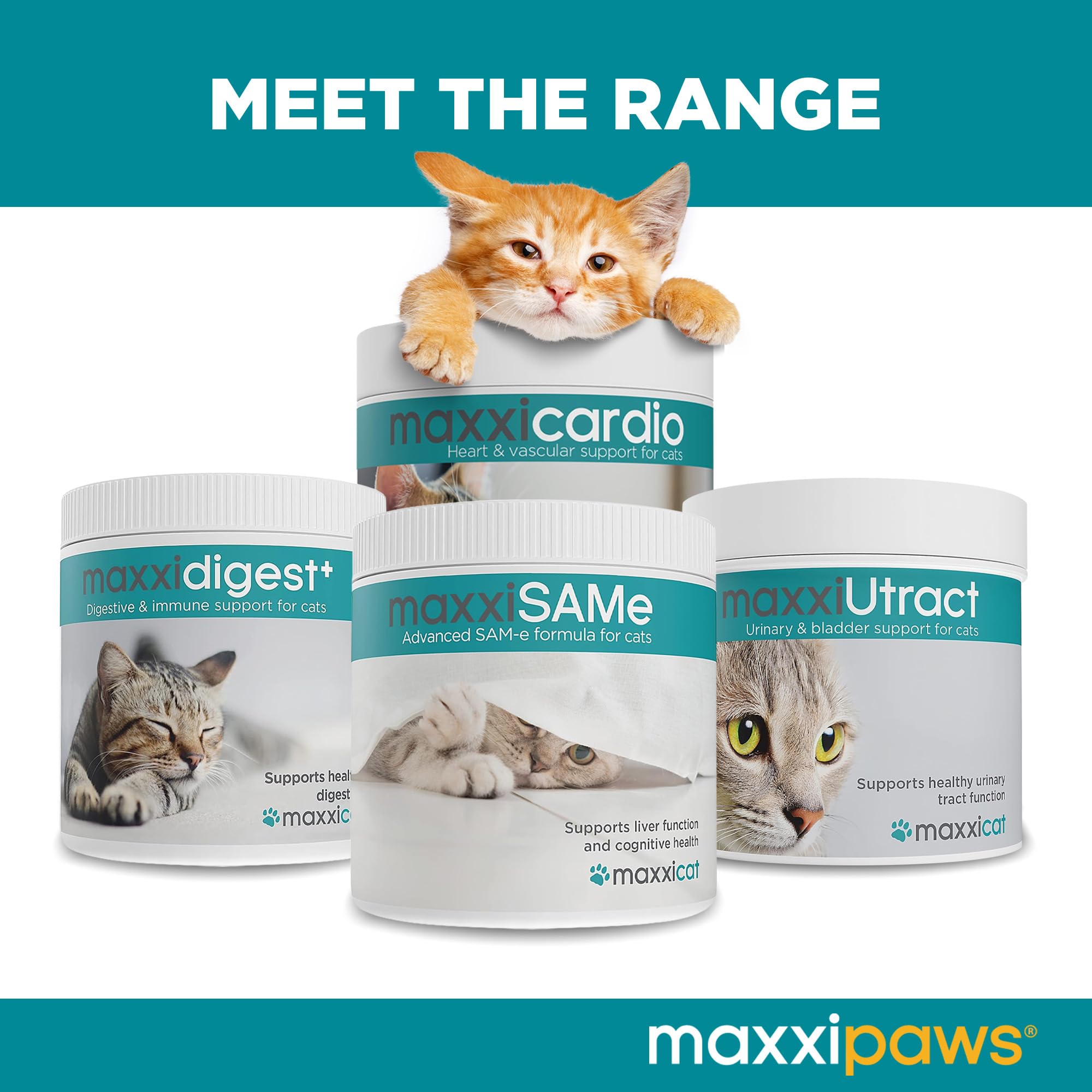 maxxipaws maxxicardio Heart & Cardiovascular Powder Supplement for Cats, 3.2oz