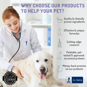 ANP Enhance Your Dog's Health with Mushroom Immune Supplement Boosting Dog Chews - No Animal Protein Formula - Vitality, Longevity, and Gut Health - Potent Reishi, Chaga, and Shiitake Mushrooms