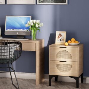 Aenuert Rattan Nightstand with 2 Drawers, Wooden Boho Side Table with Storage, Bedside End Table for Bedroom, Dorm and Small Spaces(Natural)