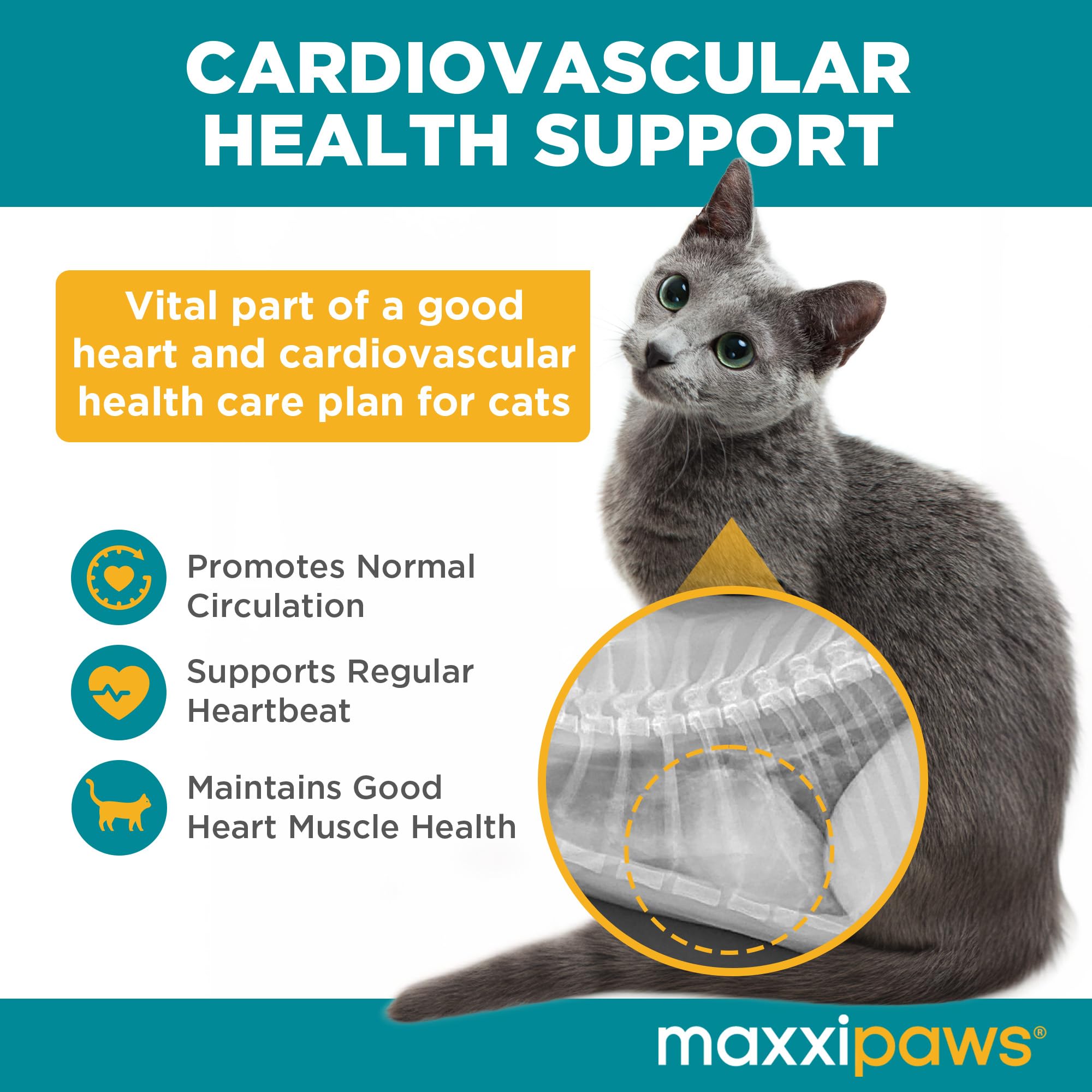 maxxipaws maxxicardio Heart & Cardiovascular Powder Supplement for Cats, 3.2oz