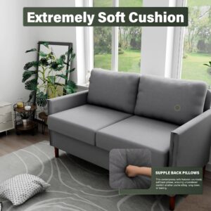 Ribilake Loveseat Sofa, 52” Small Couch for Living Room, Tool-Free Setup Sofas, 2 Seater Love Seats Couch for Bedroom, Home Office, Small Space, Light Grey