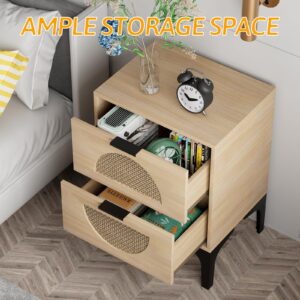 Aenuert Rattan Nightstand with 2 Drawers, Wooden Boho Side Table with Storage, Bedside End Table for Bedroom, Dorm and Small Spaces(Natural)