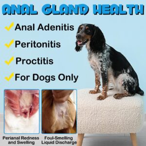 Anal Gland Soft Chew Treats, Dog Fiber Supplement for Anal Glands with Pumpkin, Digestive Enzymes, Gland Support Soft Chews for Dogs Digestive & Gut Health, Normal Bowel Function