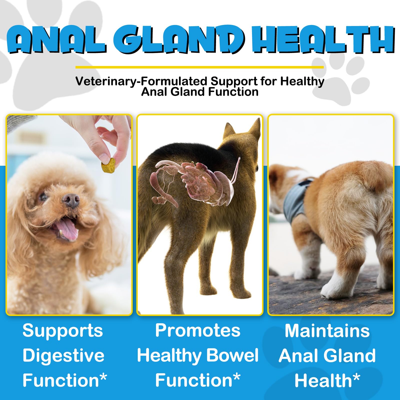 Anal Gland Soft Chew Treats, Dog Fiber Supplement for Anal Glands with Pumpkin, Digestive Enzymes, Gland Support Soft Chews for Dogs Digestive & Gut Health, Normal Bowel Function