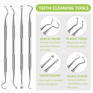 PARYUNGR Dental Tools Pet Dog Teeth Cleaner Tool Kit, Stainless Steel Plaque Remover Dental Picks Tooth Tartar Scraper, Pets Oral Care Hygiene Set for Cats and Dogs Use with Case