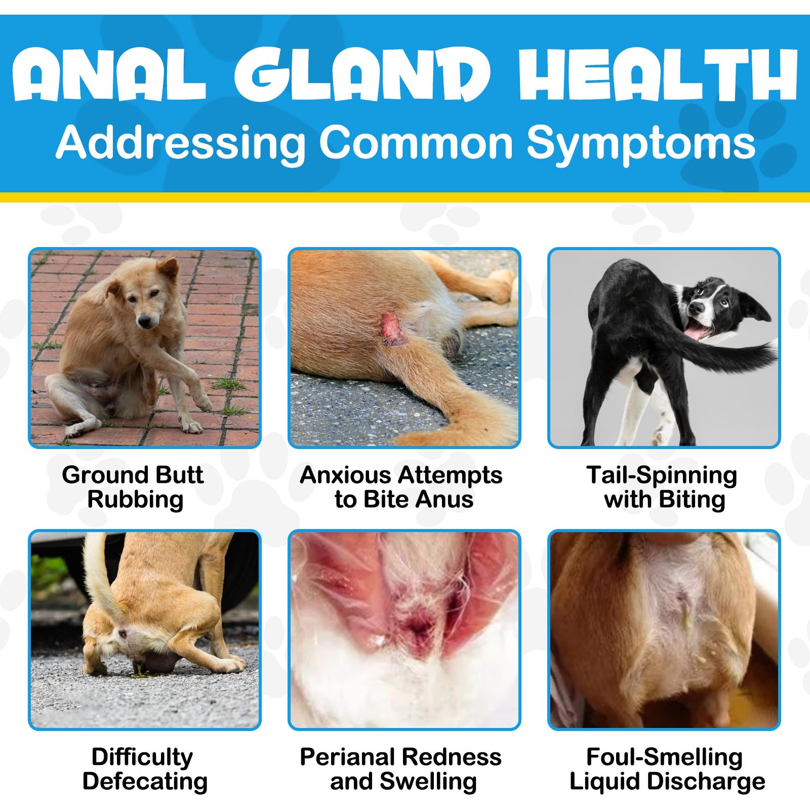 Anal Gland Soft Chew Treats, Dog Fiber Supplement for Anal Glands with Pumpkin, Digestive Enzymes, Gland Support Soft Chews for Dogs Digestive & Gut Health, Normal Bowel Function