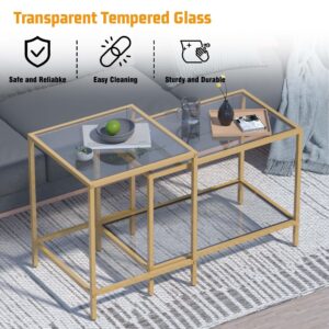 Coffee Table Set of 2,Gold Glass Nesting Coffee Side End Table,Square Modern Center Table for Living Room,Bedroom and Small Spaces,Tempered Glass-top with Sturdy Metal Frame, Easy Assembly